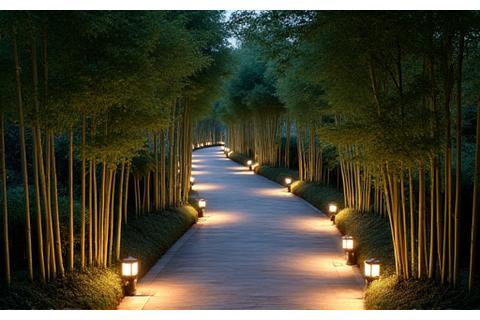夜間開放された日本の公園の小道と竹林の照明